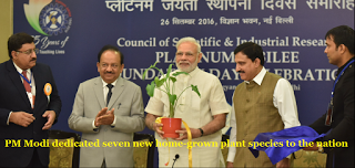 dedicated seven plants
