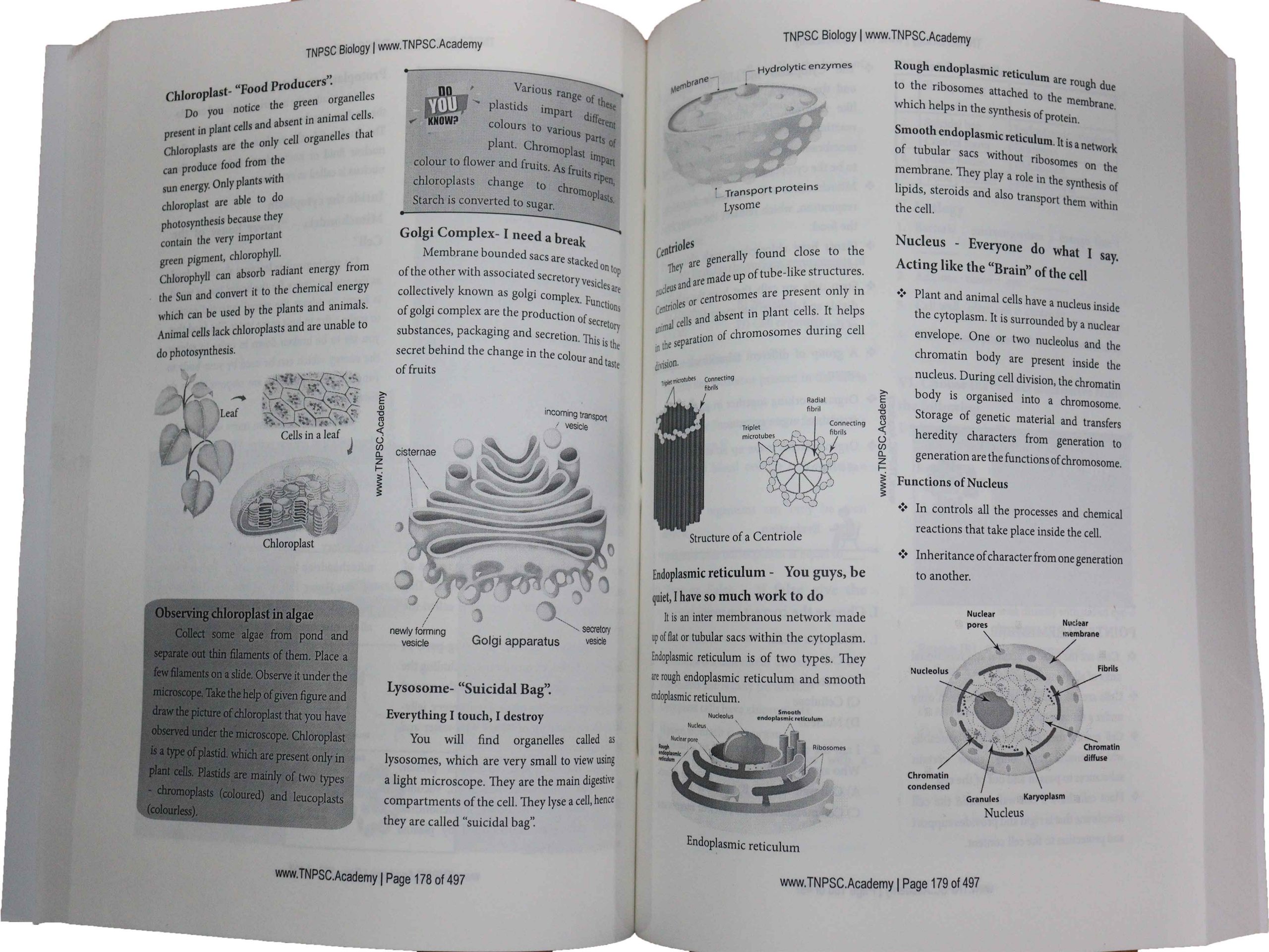 Biology Pages