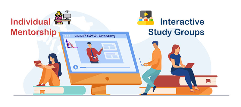 Individual Mentorship